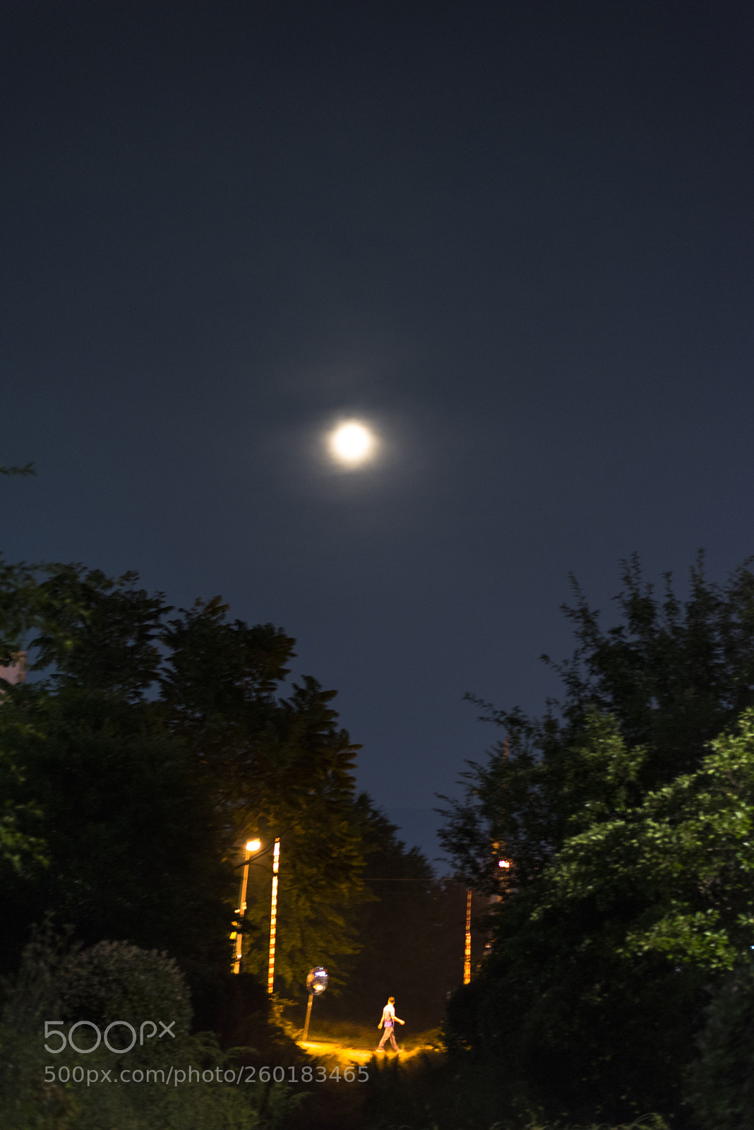 Nikon D810 sample photo. On the railroad   no.10 photography