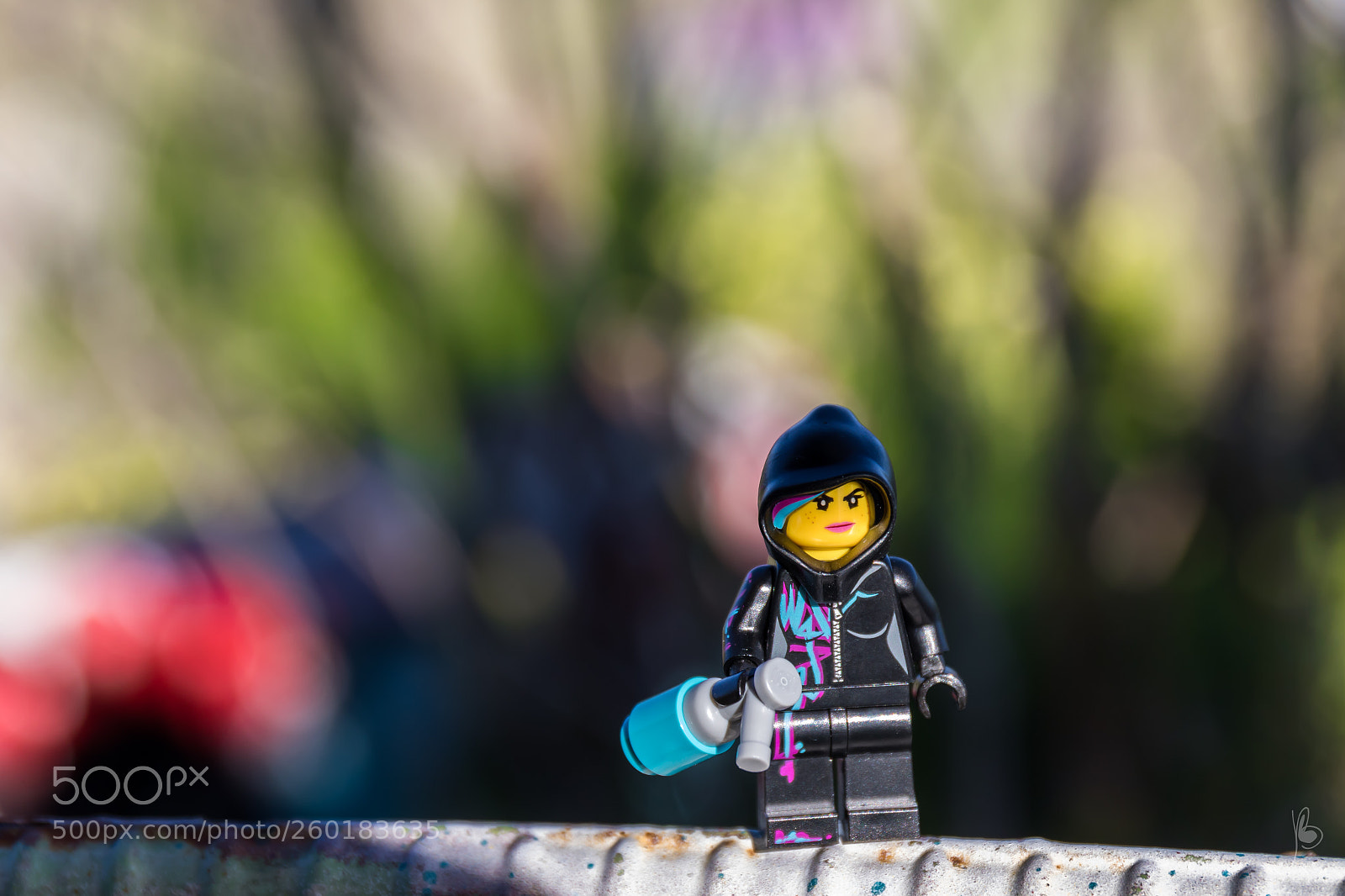 Canon EOS 7D Mark II sample photo. Wildstyle photography