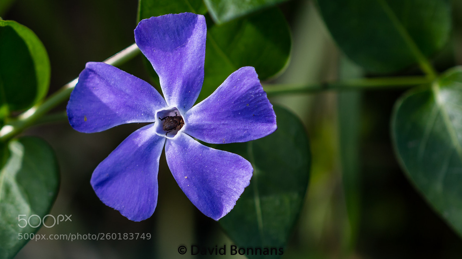 Canon EOS 70D sample photo. Untitled photography