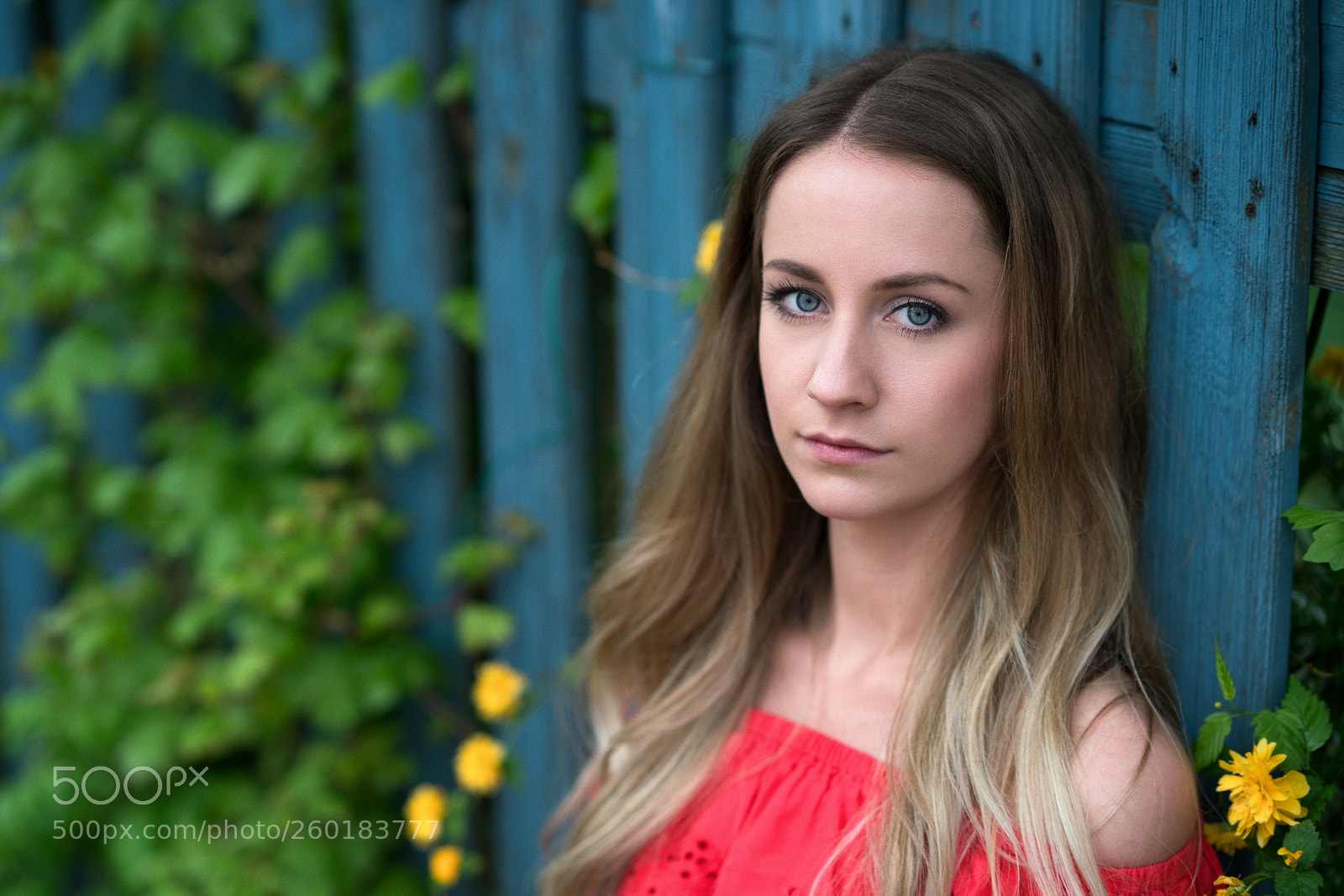 Sony a7R II sample photo. Bunt photography