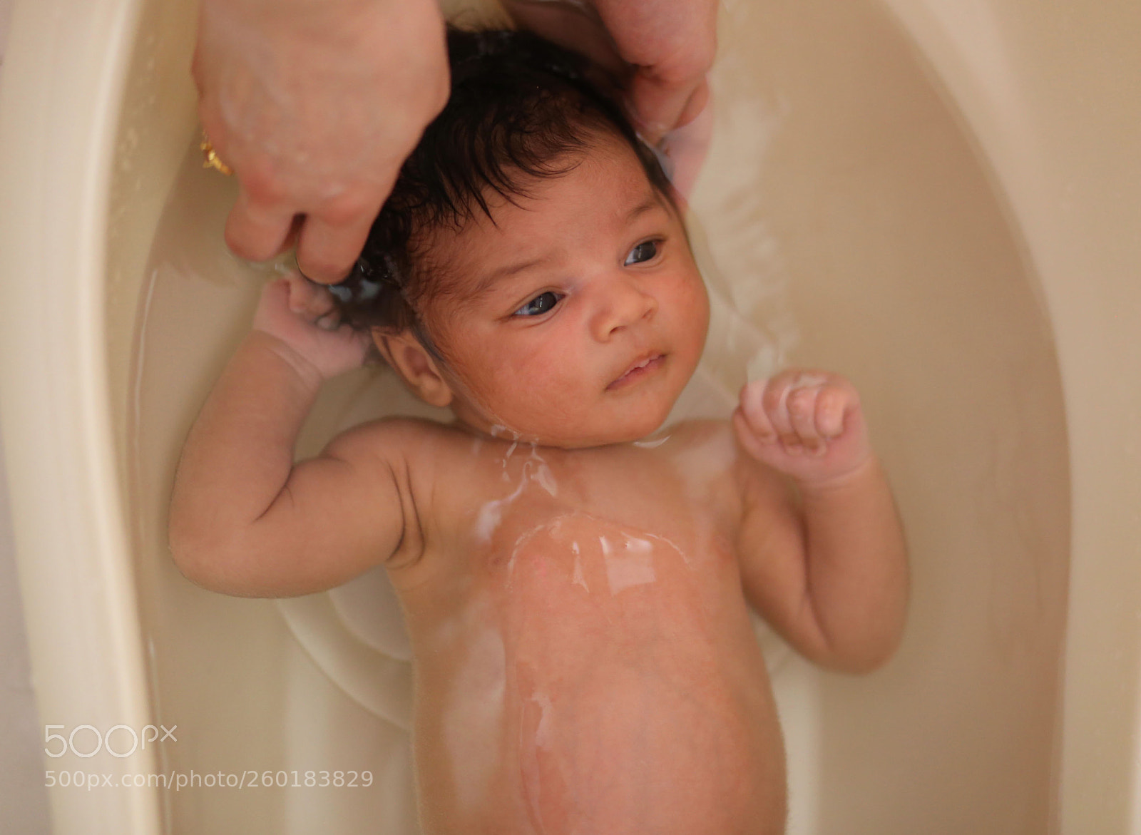 Canon EOS 6D sample photo. Img photography