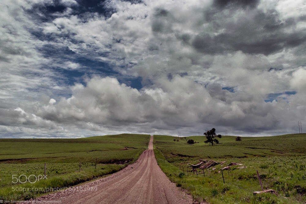 Nikon D5300 sample photo. The long road photography