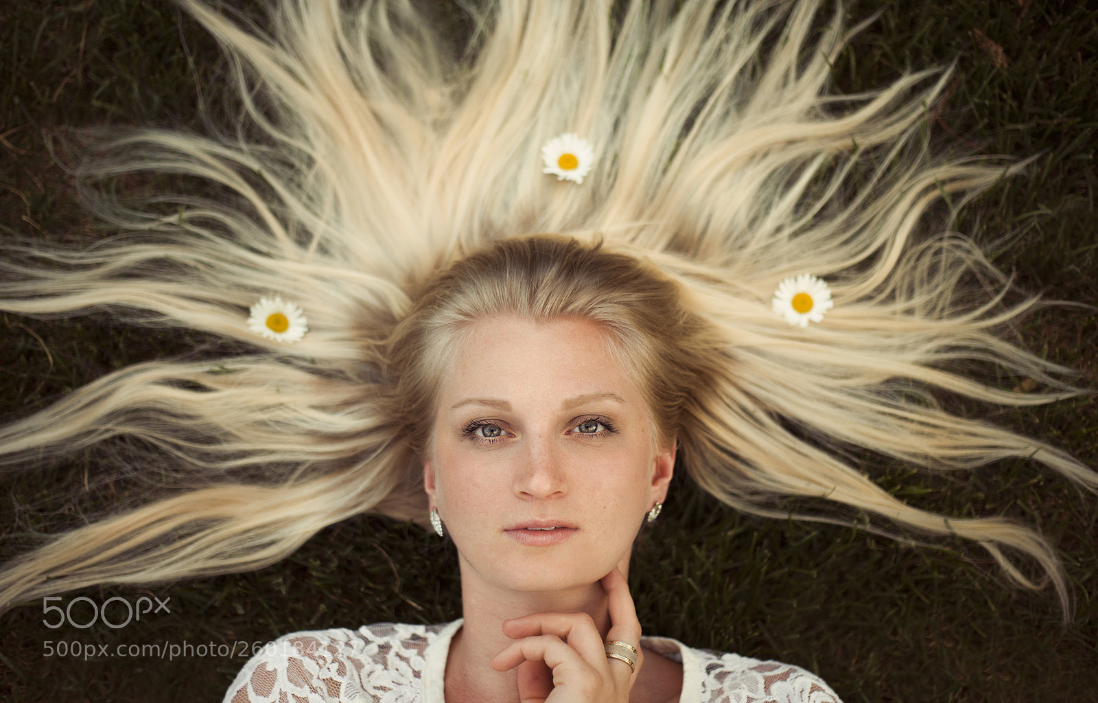 Canon EOS 5D Mark II sample photo. Daisy baby. photography