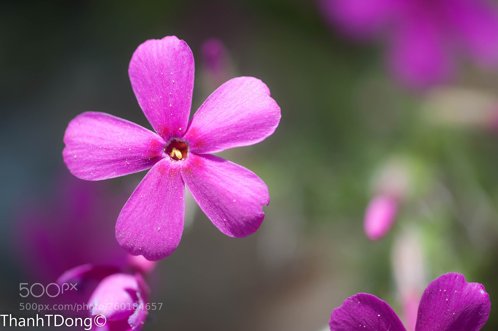 Nikon D700 sample photo. Light inspired photography