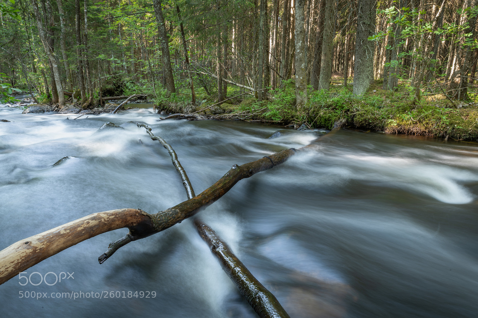 Nikon D850 sample photo. Stream in a forest photography