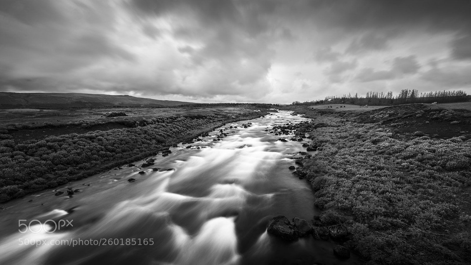 Nikon D4S sample photo. The river flows photography