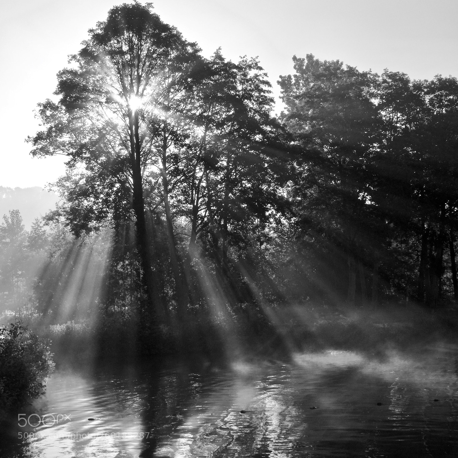 Nikon D500 sample photo. Untitled photography