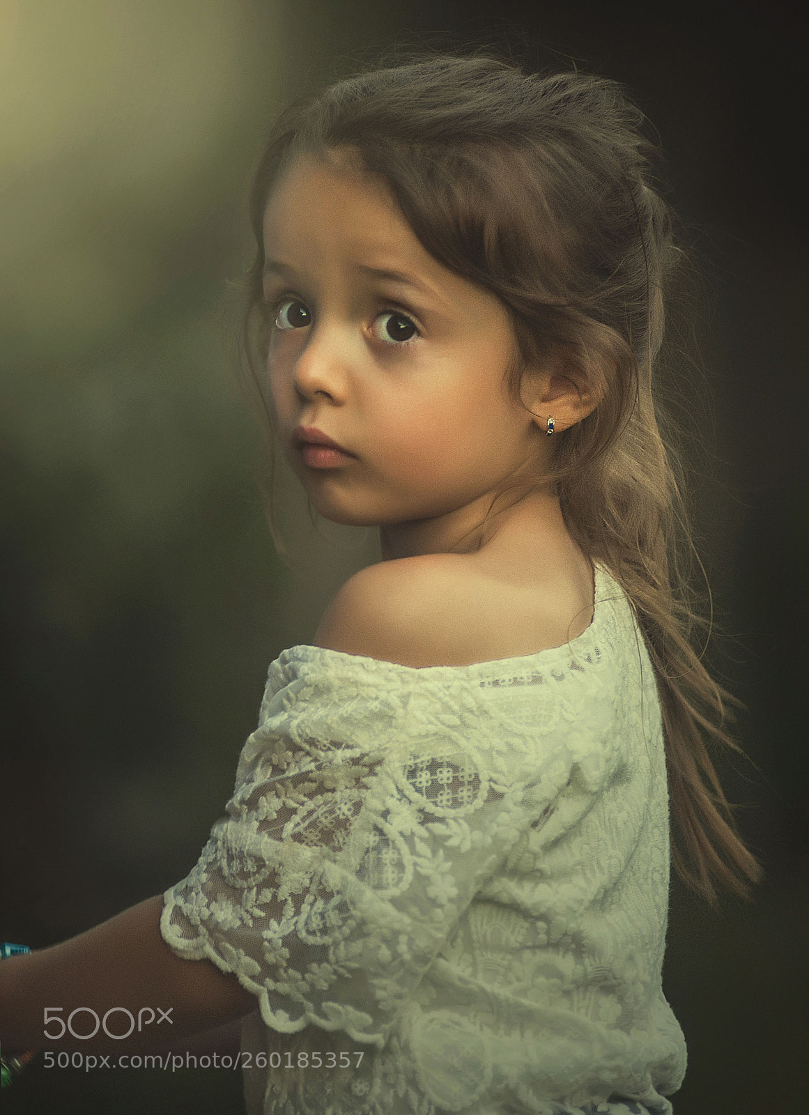 Nikon D700 sample photo. Untitled photography