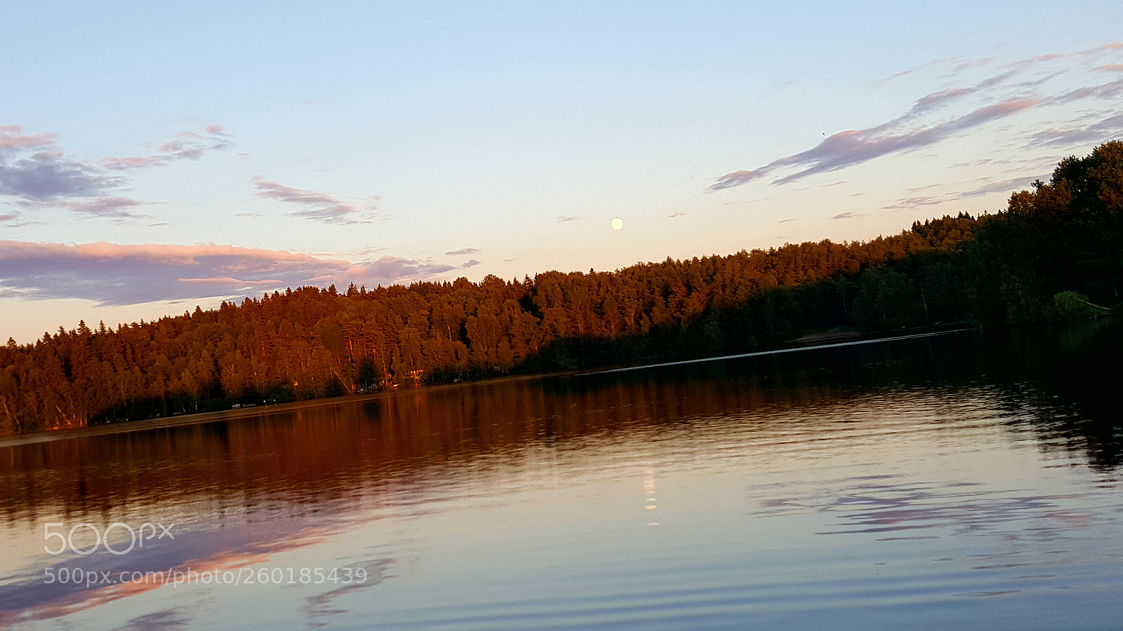 Samsung GALAXY S6 edge sample photo. Untitled photography