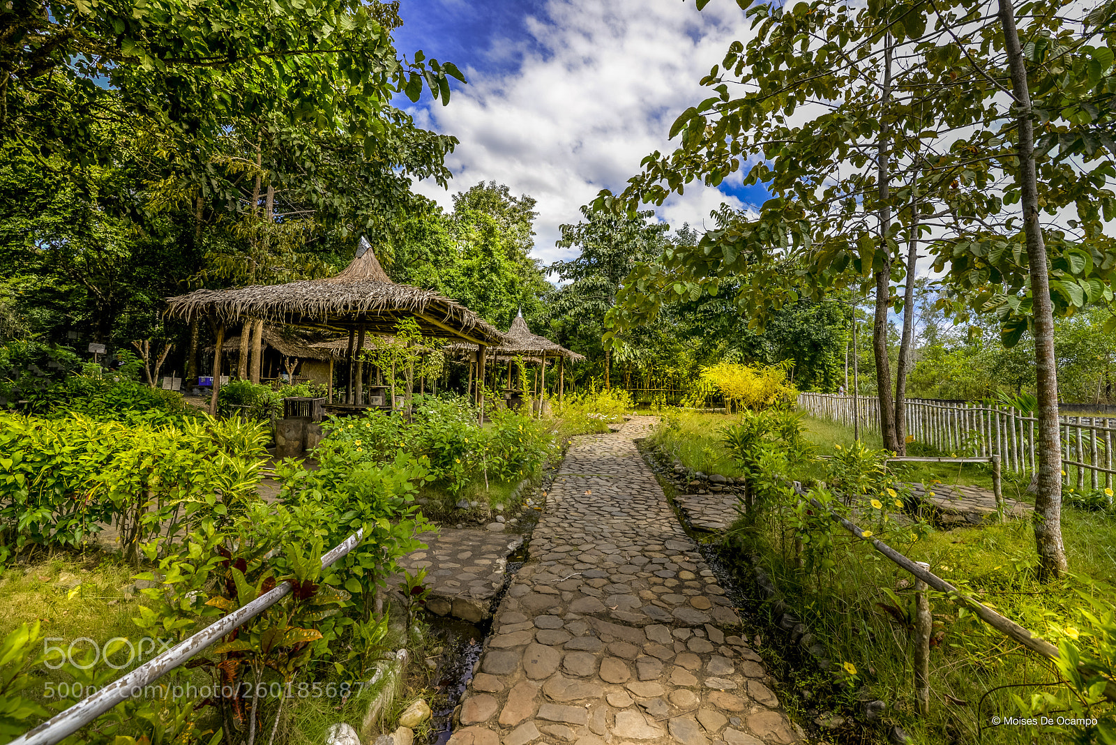 Nikon D610 sample photo. Pathway to cottages photography