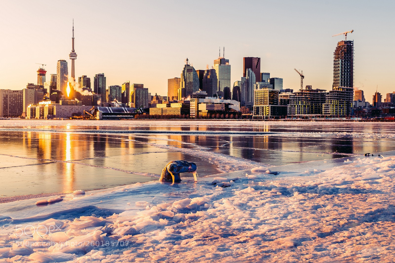 Nikon D850 sample photo. The big freeze photography