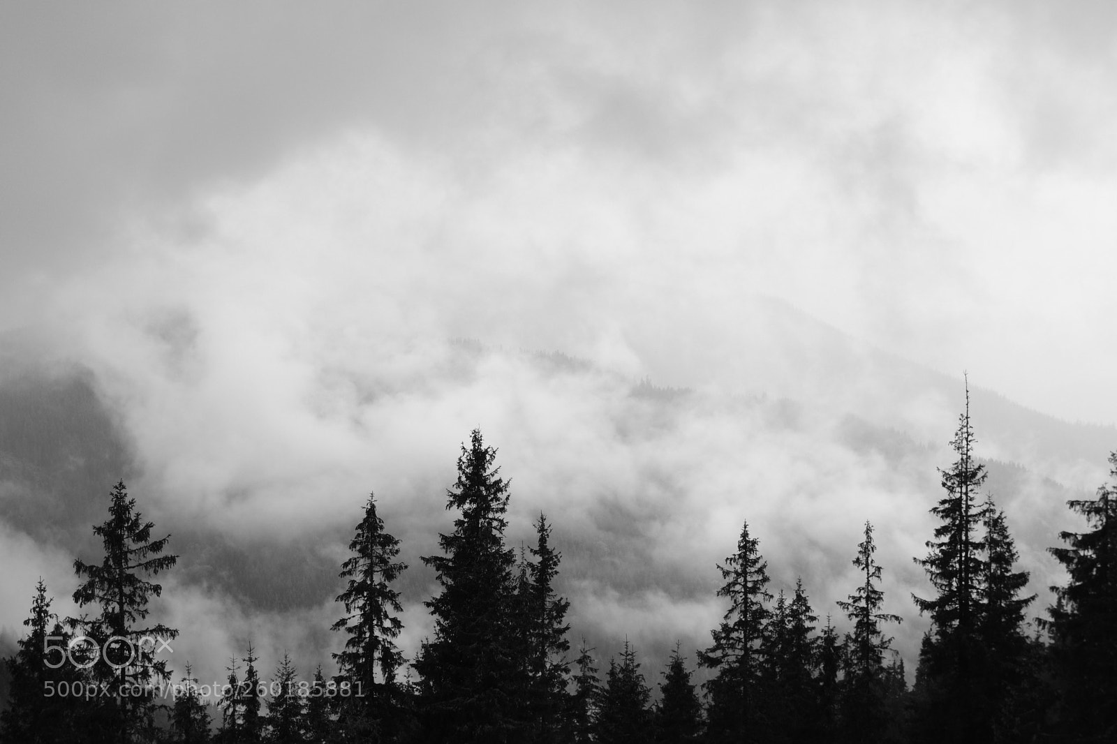 Fujifilm X-T20 sample photo. Mist photography