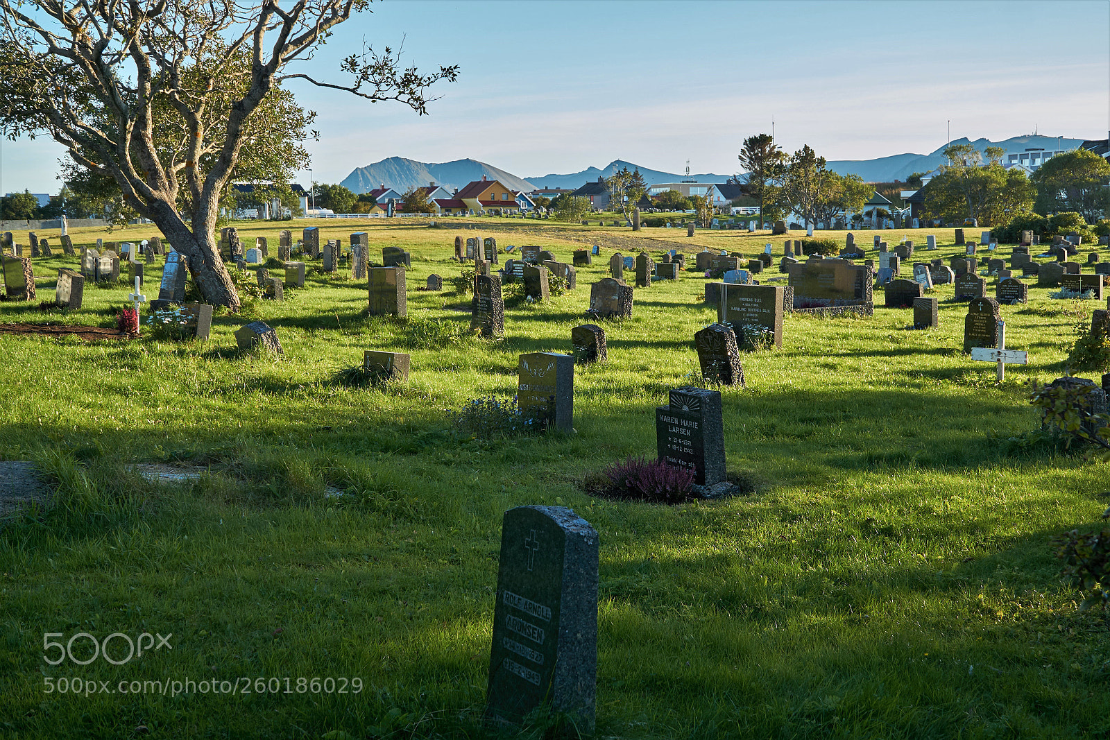 Sony a6000 sample photo. For the light photography