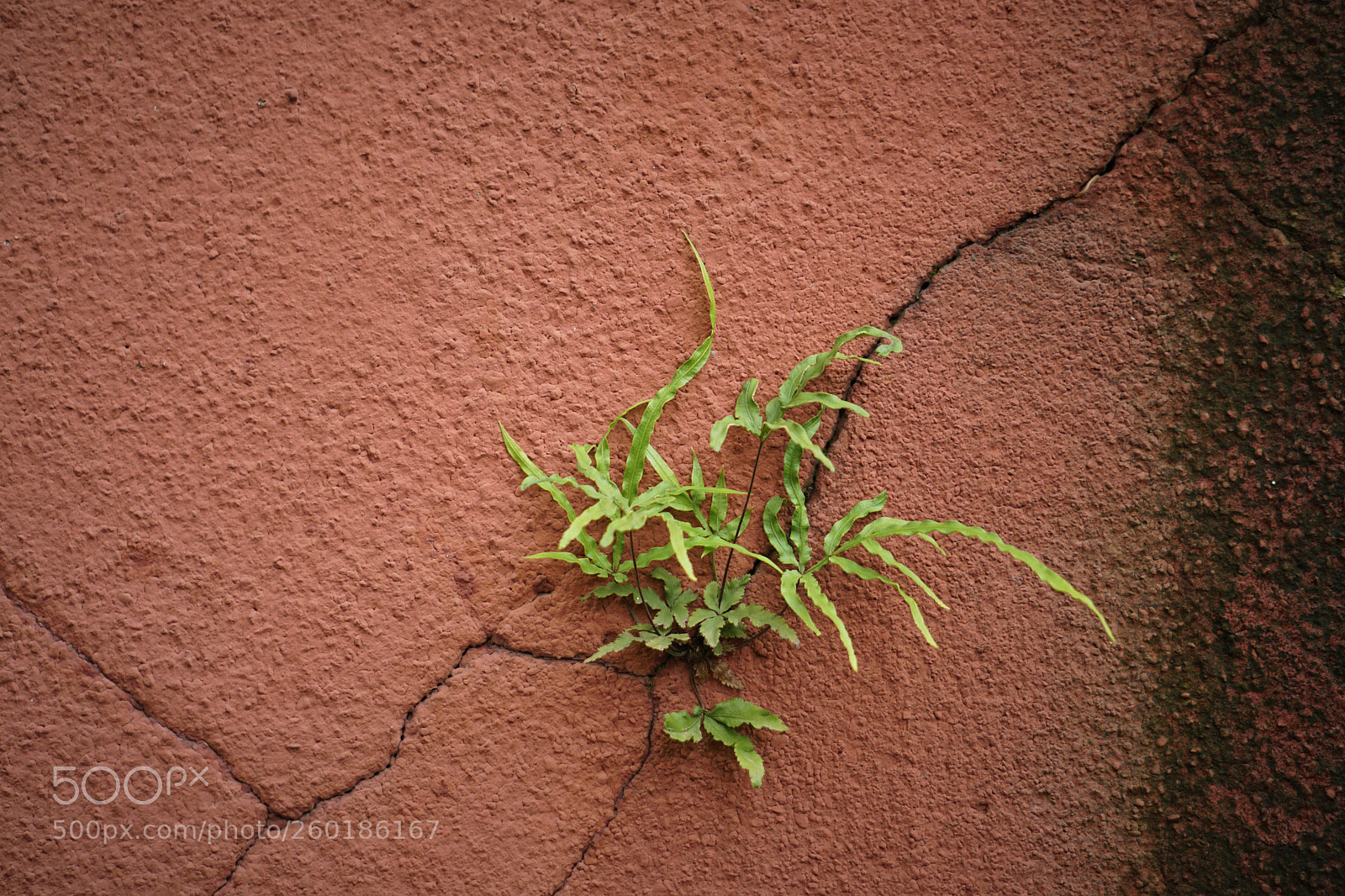 Sony a6000 sample photo. Untitled photography