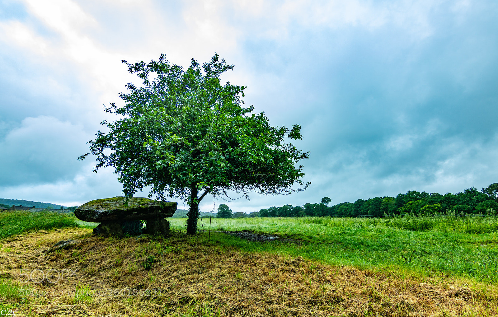 Canon EOS 750D (EOS Rebel T6i / EOS Kiss X8i) sample photo. Dolmen de kermorvant photography