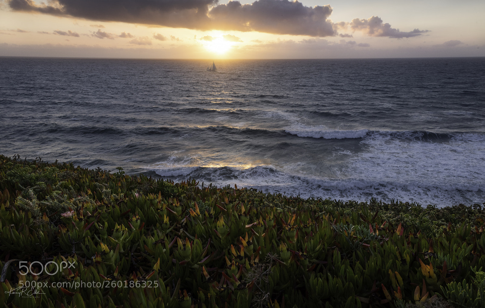 Nikon D810 sample photo. Sintra sailboat sunset photography