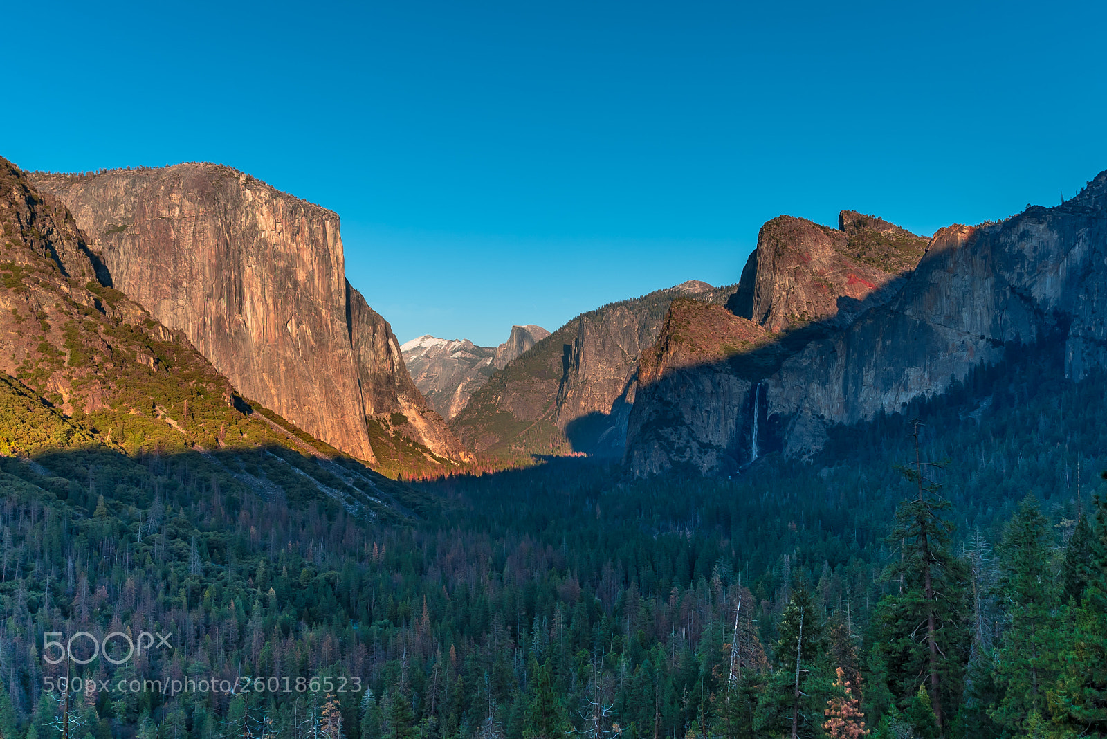 Nikon D750 sample photo. Iconic yosemite photography