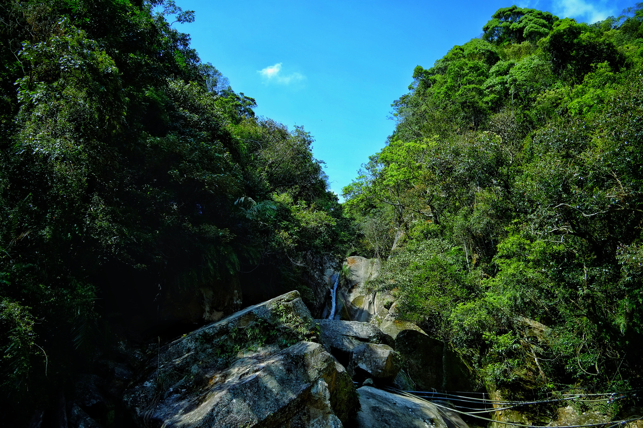Fujifilm X-Pro1 sample photo