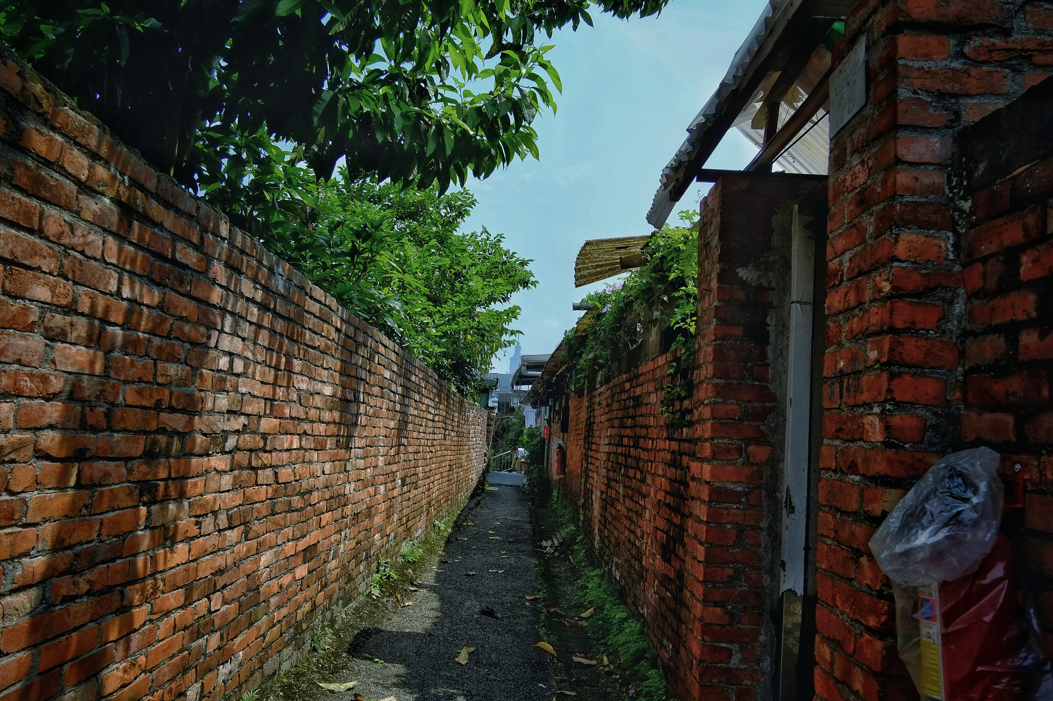 Fujifilm X-Pro1 sample photo