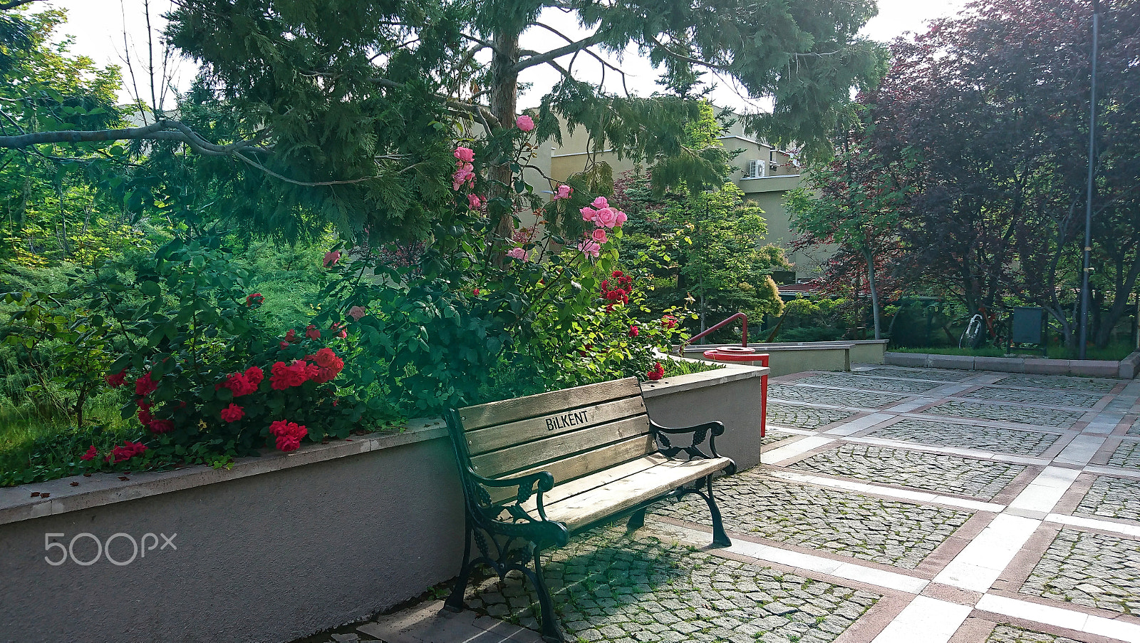 Sony Xperia XZ sample photo. Bilkent photography