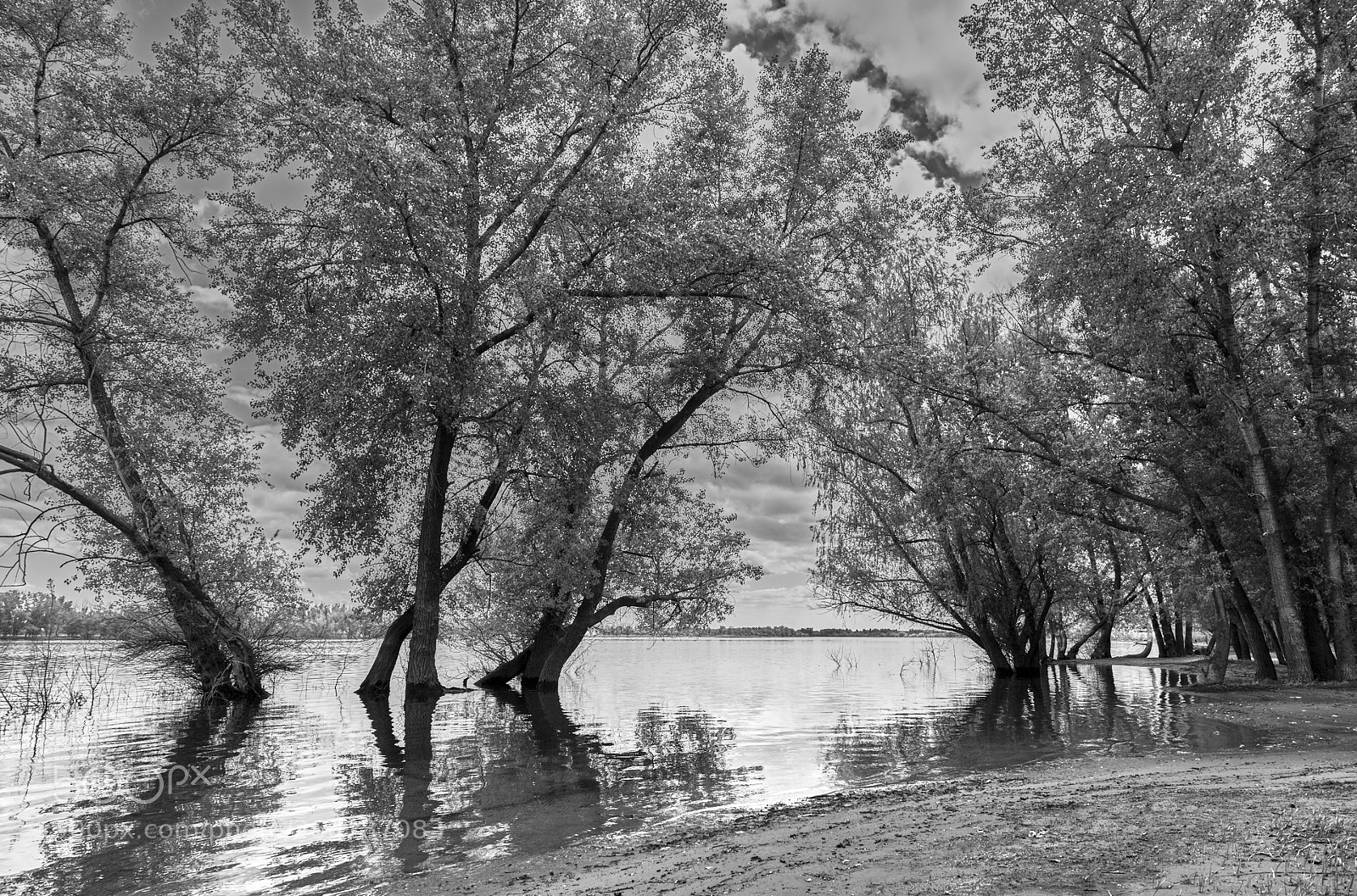 Canon EOS 6D sample photo. The volga-akhtuba floodplain photography
