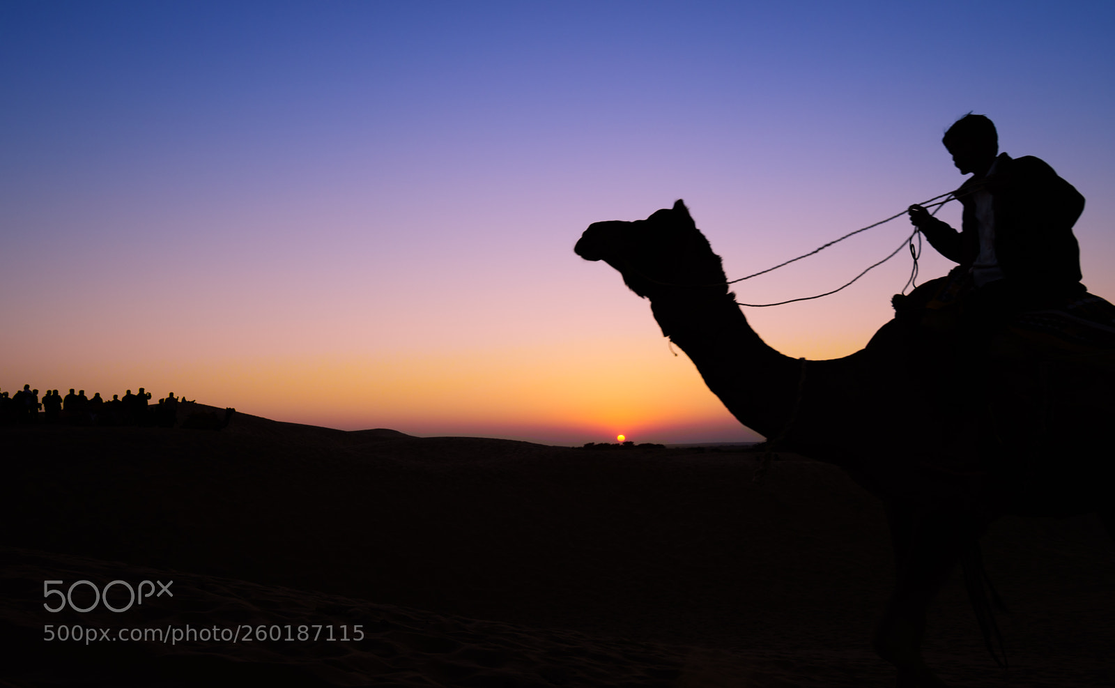 Nikon D500 sample photo. Camel rider photography