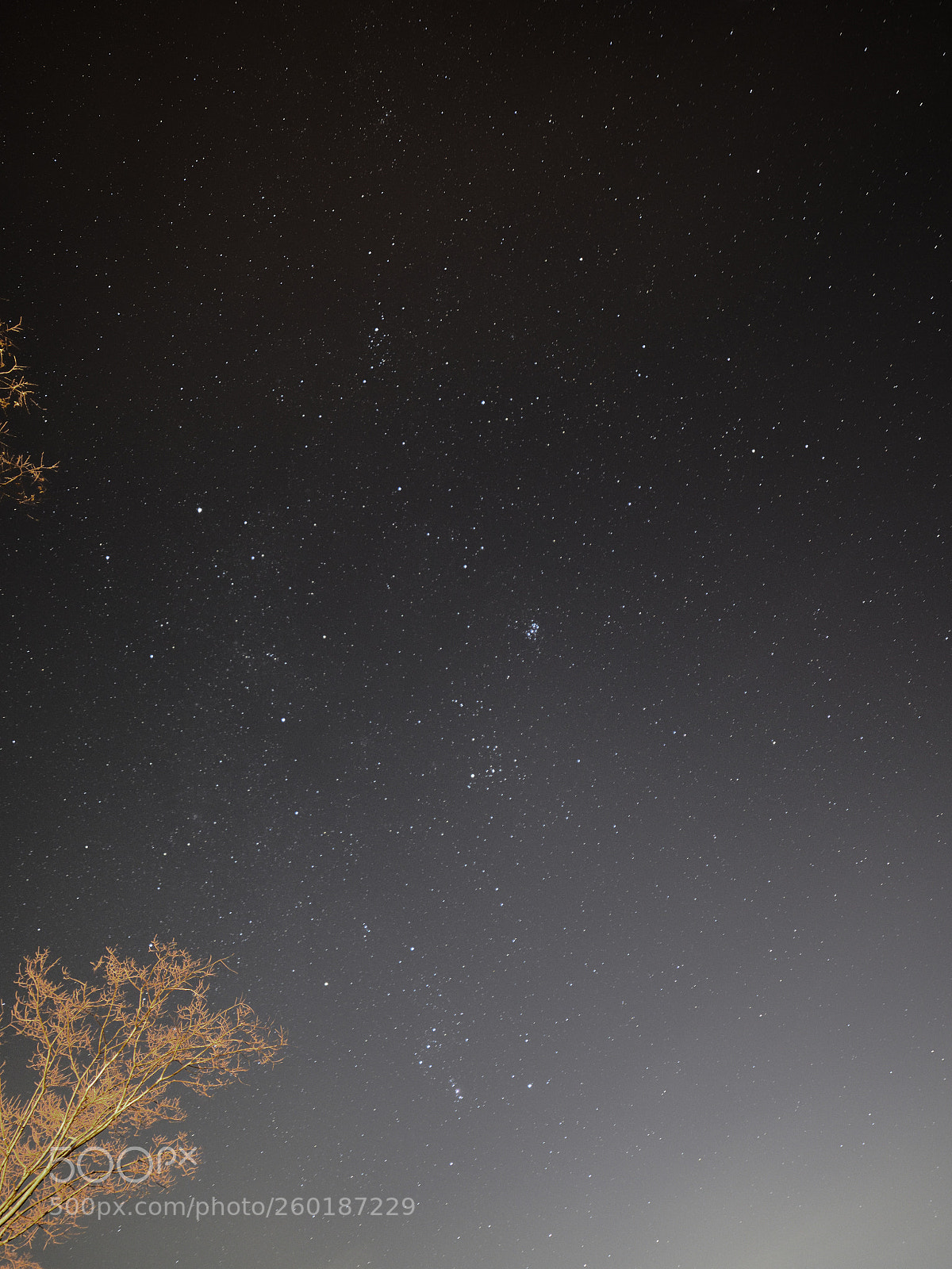 Nikon D750 sample photo. Untitled photography
