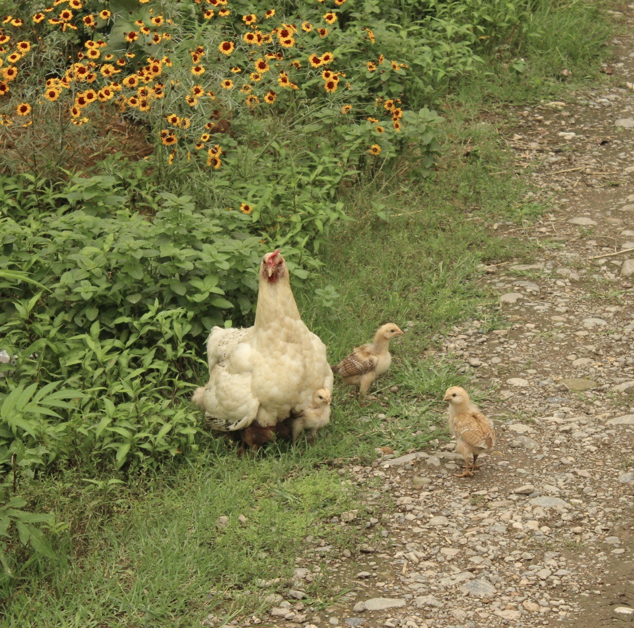 Canon EOS 600D (Rebel EOS T3i / EOS Kiss X5) sample photo. Mother and children photography