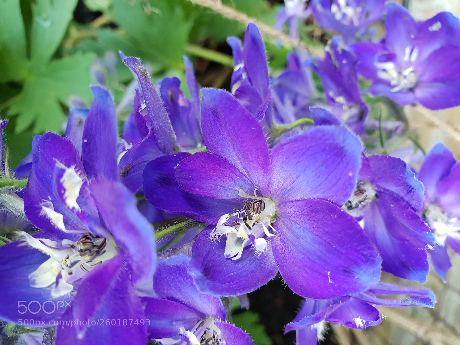 Samsung Galaxy S9 sample photo. Untitled photography