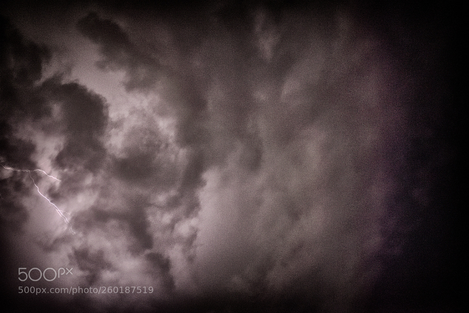 Nikon D750 sample photo. Untitled photography