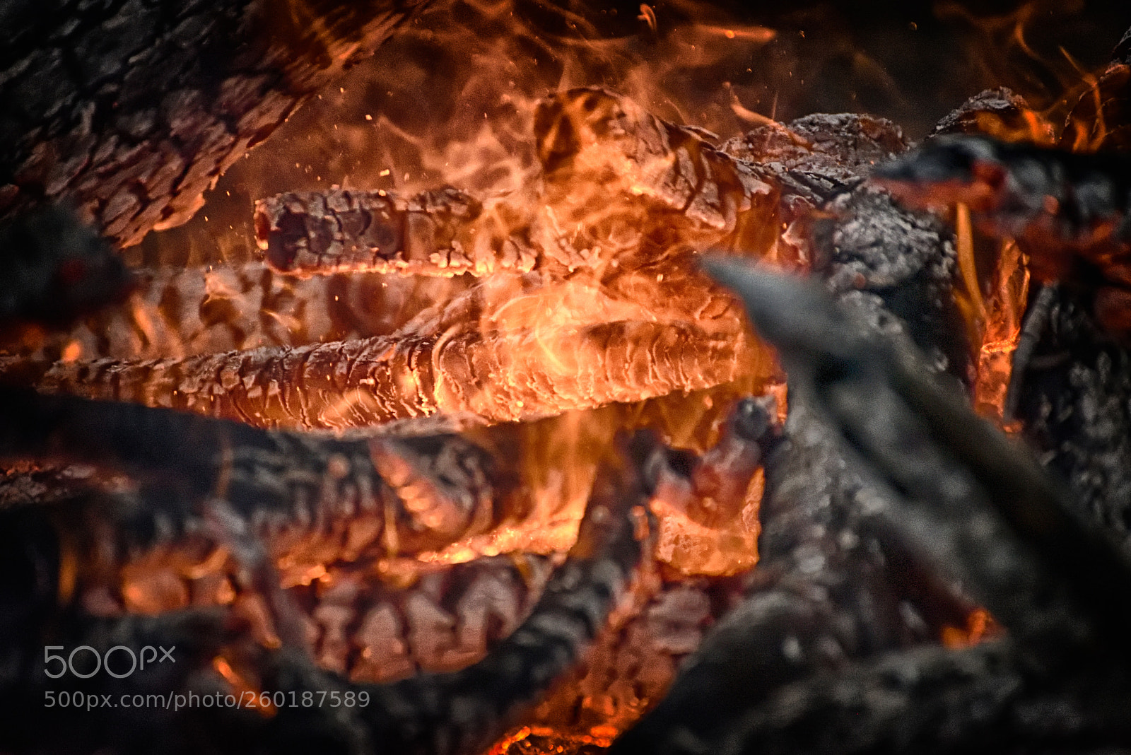 Nikon D750 sample photo. Untitled photography