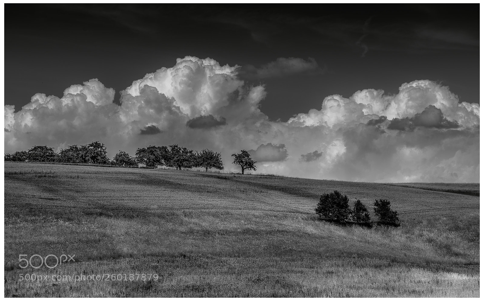 Nikon D810 sample photo. Field and clouds ii photography