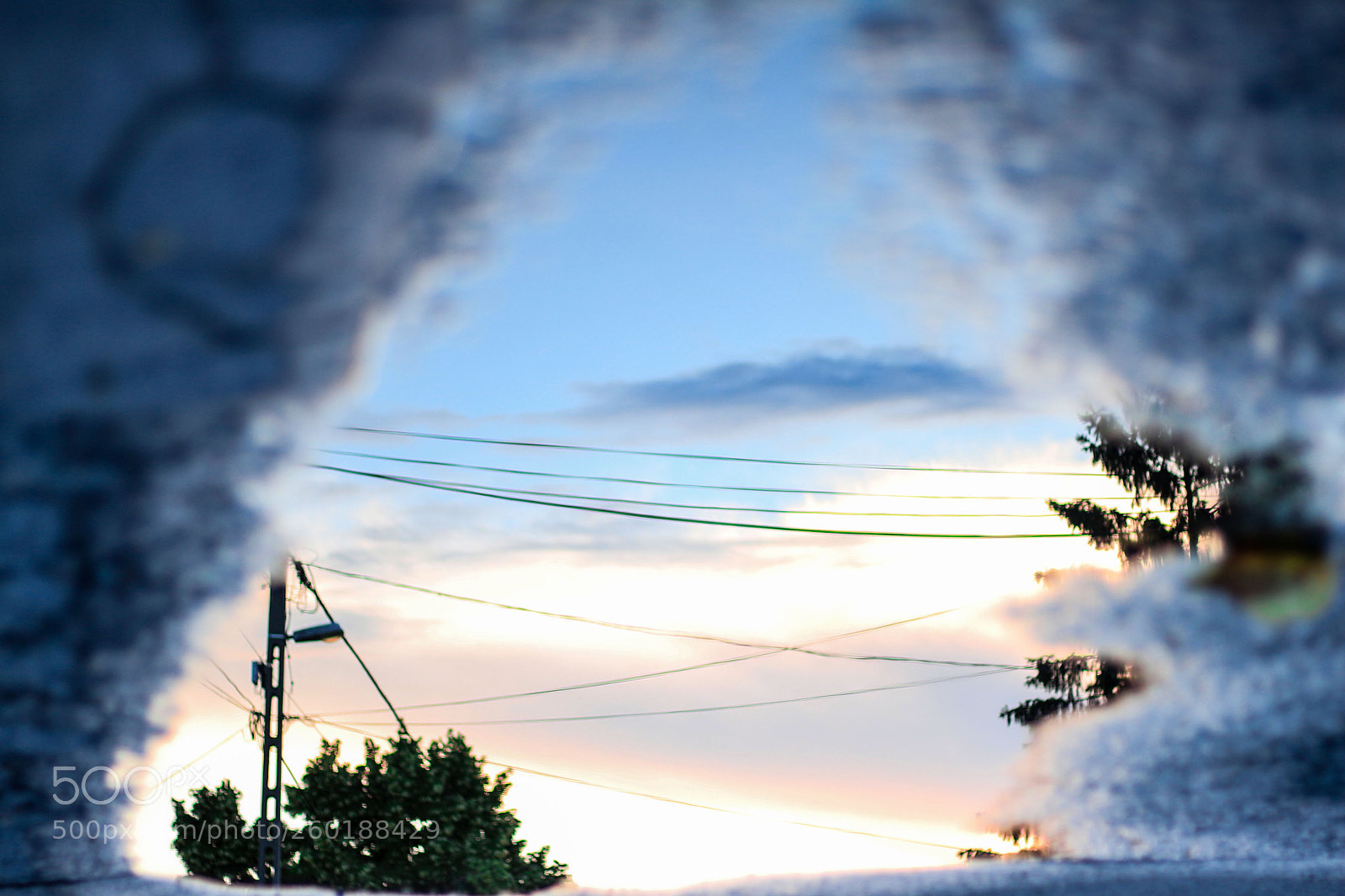 Canon EOS 700D (EOS Rebel T5i / EOS Kiss X7i) sample photo. Upside down photography