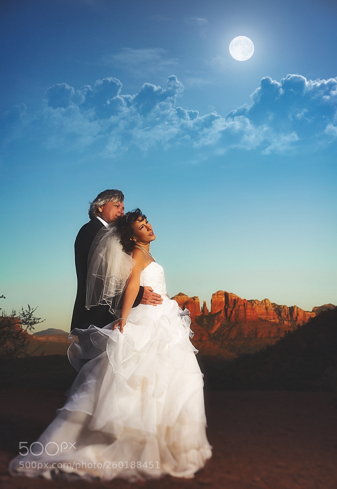 Sony a7R II sample photo. Wedding in sedona photography