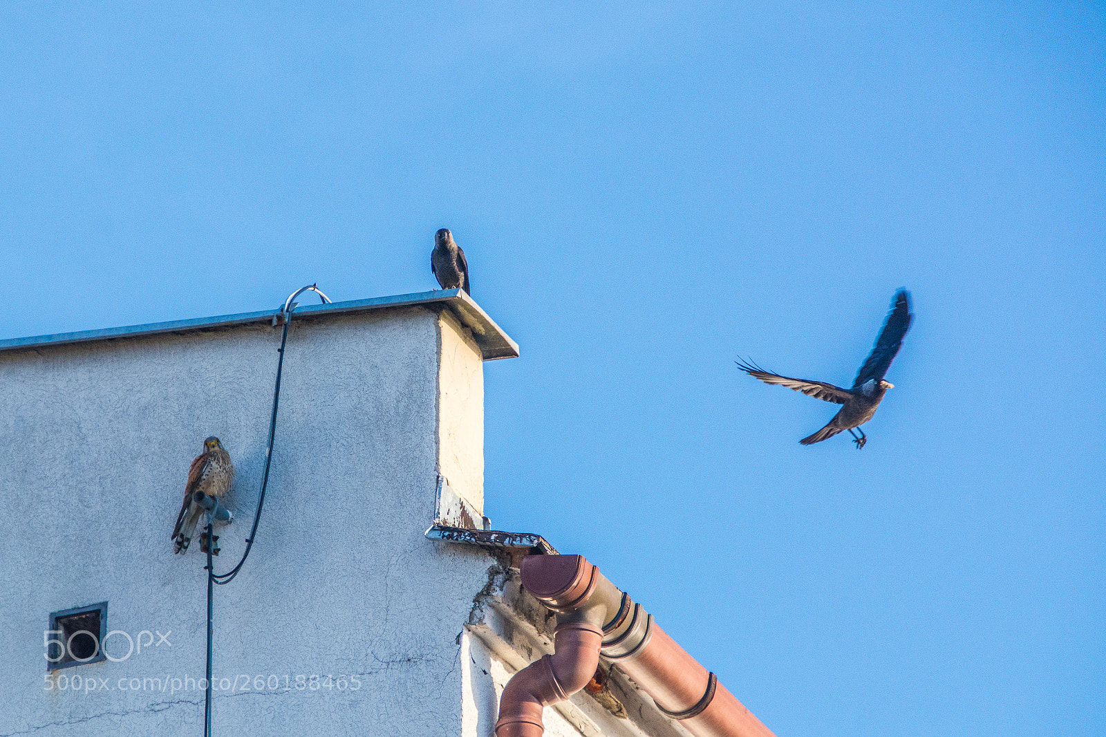 Nikon D7100 sample photo. Meeting 31.5.2018 photography