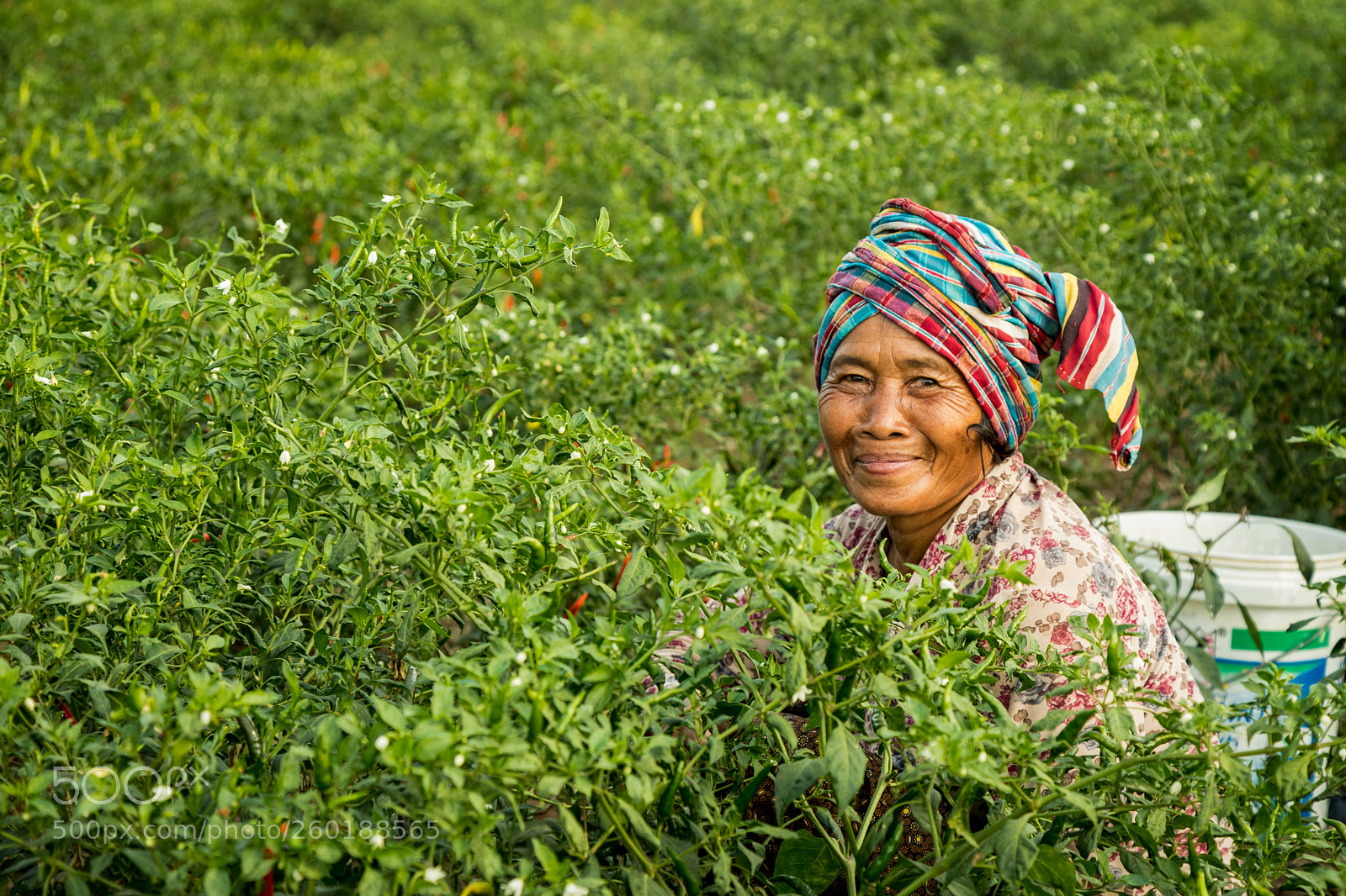 Canon EOS 6D Mark II sample photo. A local khmer lady photography