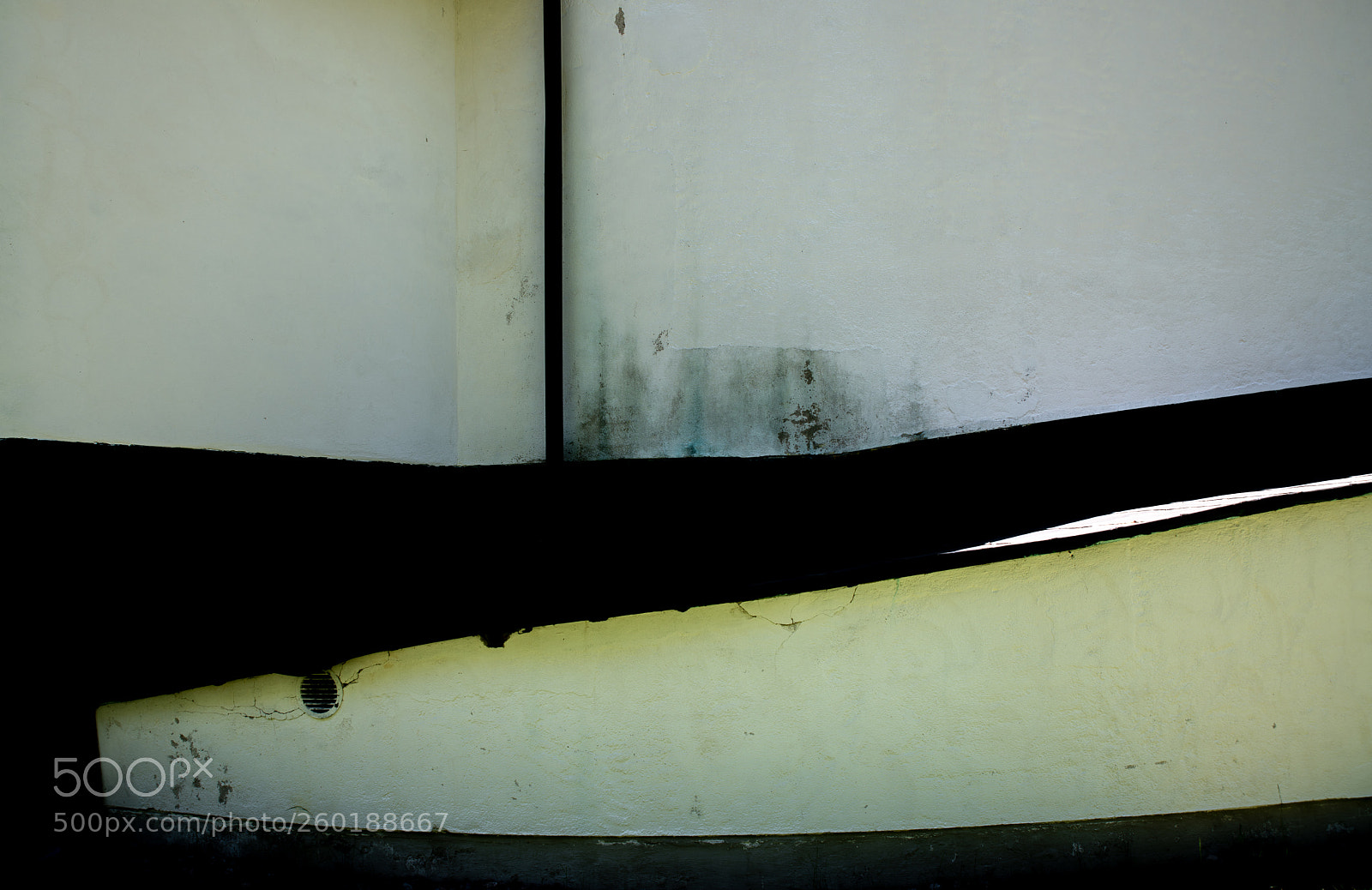 Nikon D850 sample photo. A piece of wall photography