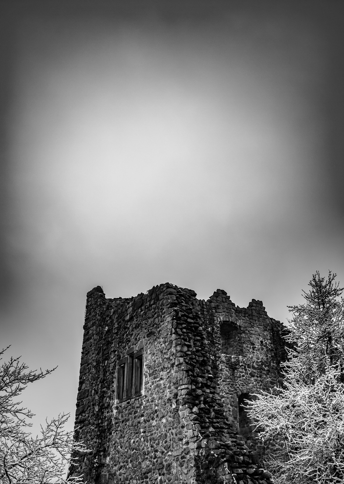 Sony SLT-A68 sample photo. Castle in germany photography