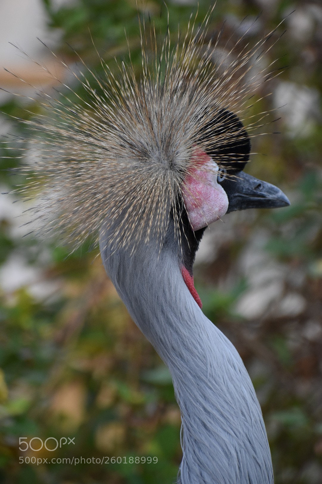 Nikon D5500 sample photo. Untitled photography