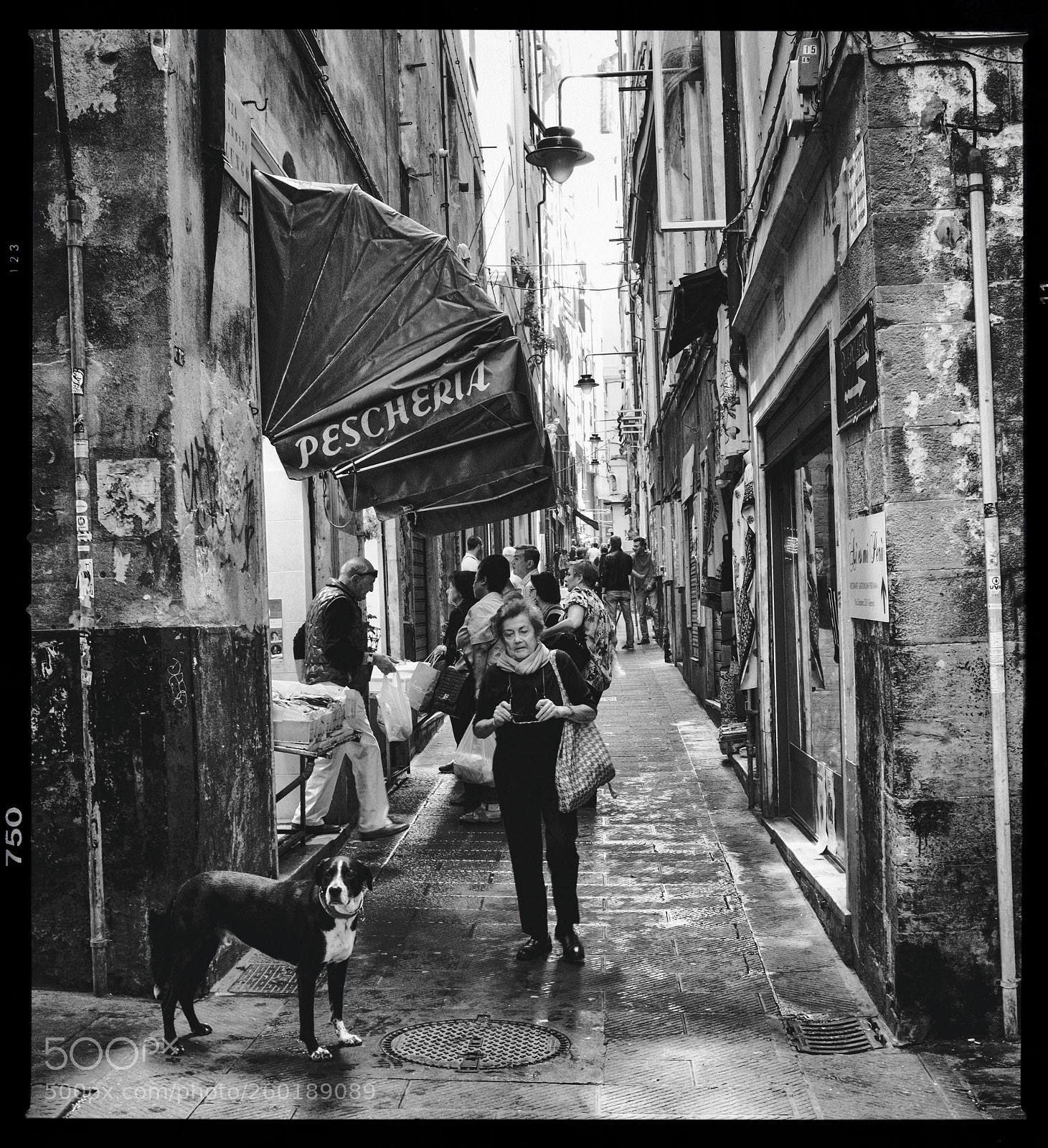 Fujifilm X100S sample photo. Fish store in genova photography