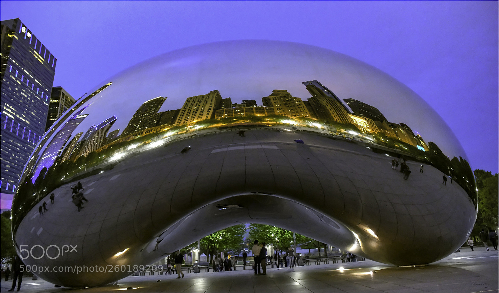 Nikon D850 sample photo. The bean. photography