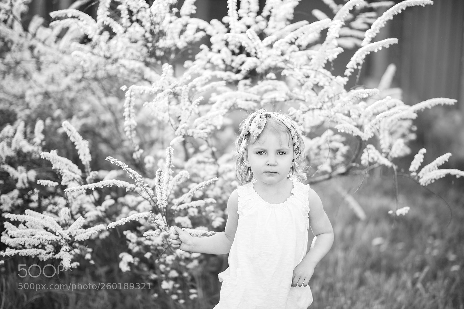 Nikon D810 sample photo. чб photography