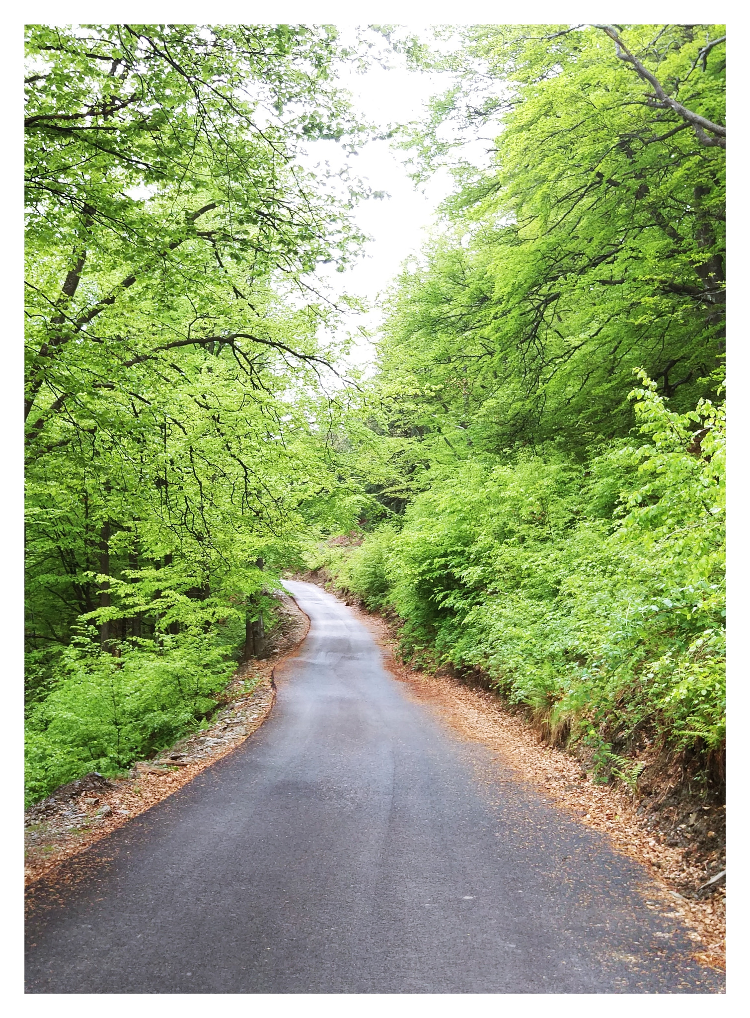 HTC ONE M9 sample photo. The road photography