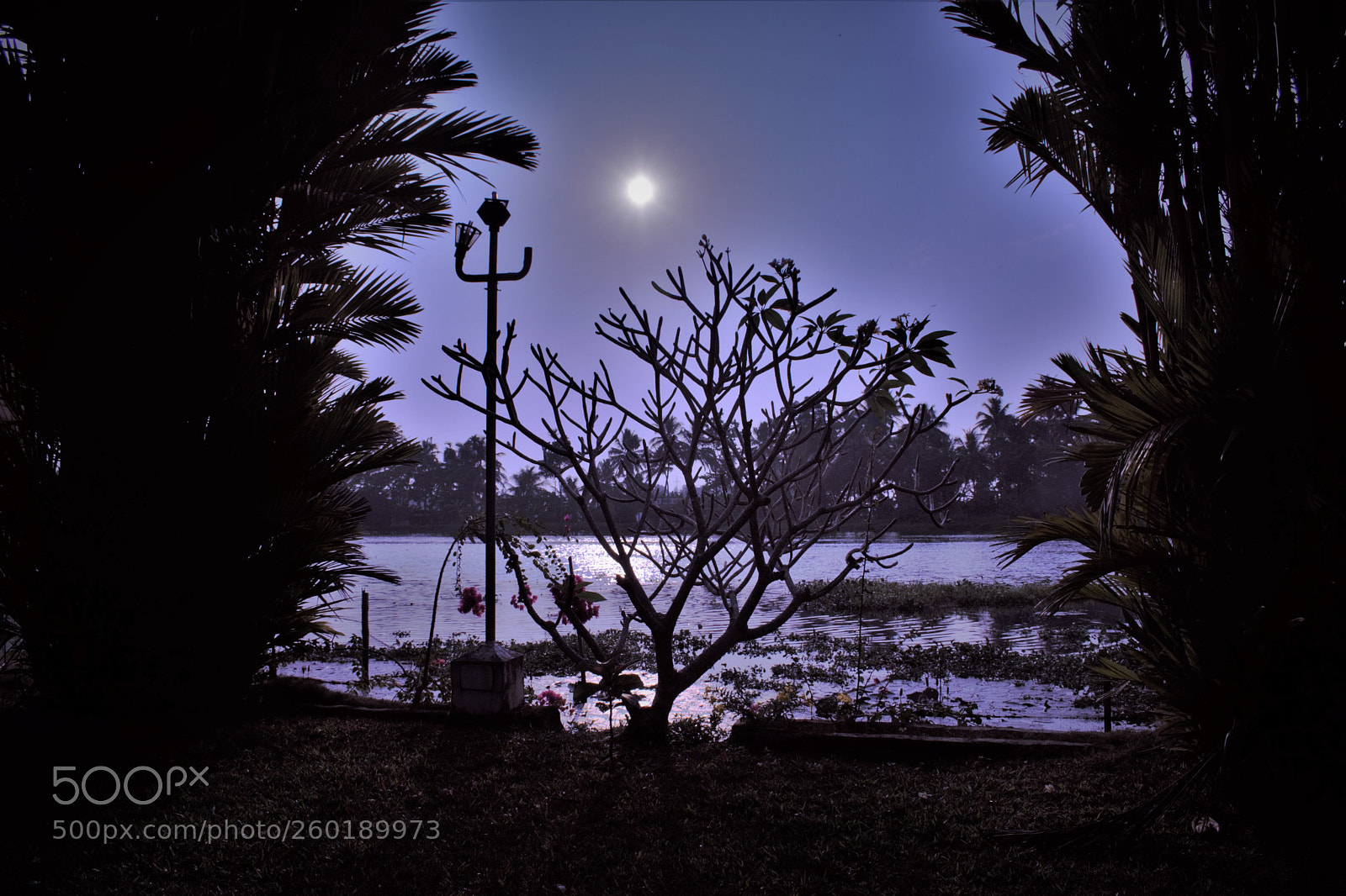 Nikon D3300 sample photo. Sun as moon photography