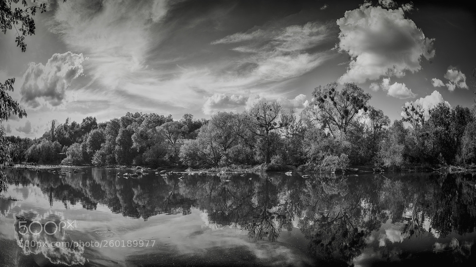 Nikon D800E sample photo. Reflection photography