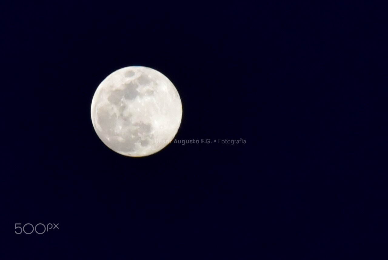 Nikon AF-Nikkor 80-200mm F2.8D ED sample photo. Cuando la luna se pone redondonta... photography