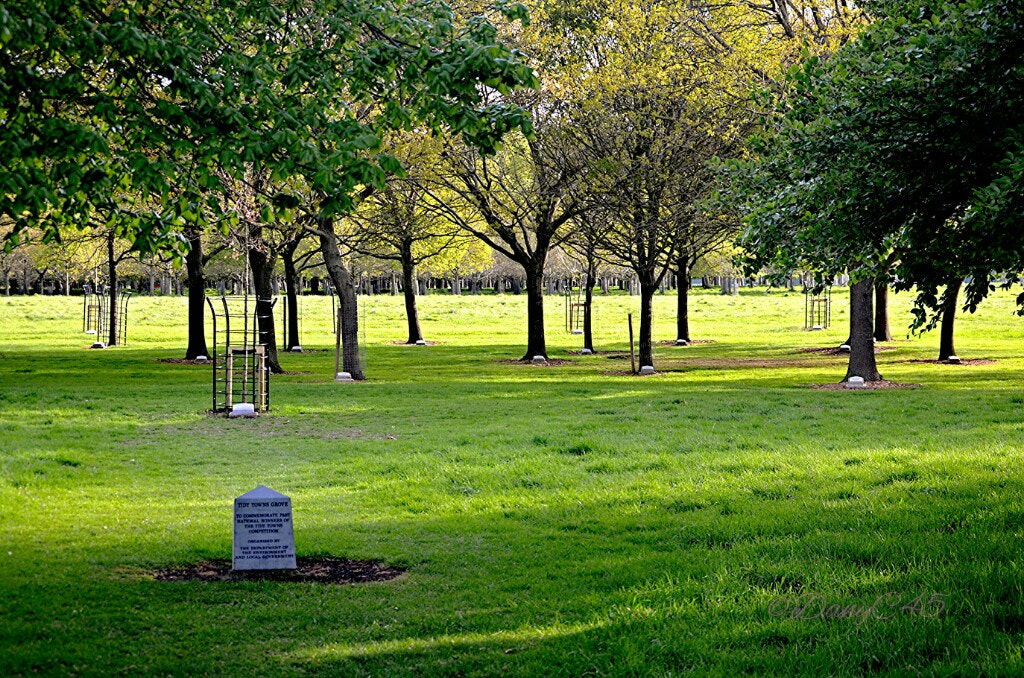 Nikon D5100 sample photo. 22 dublin photography