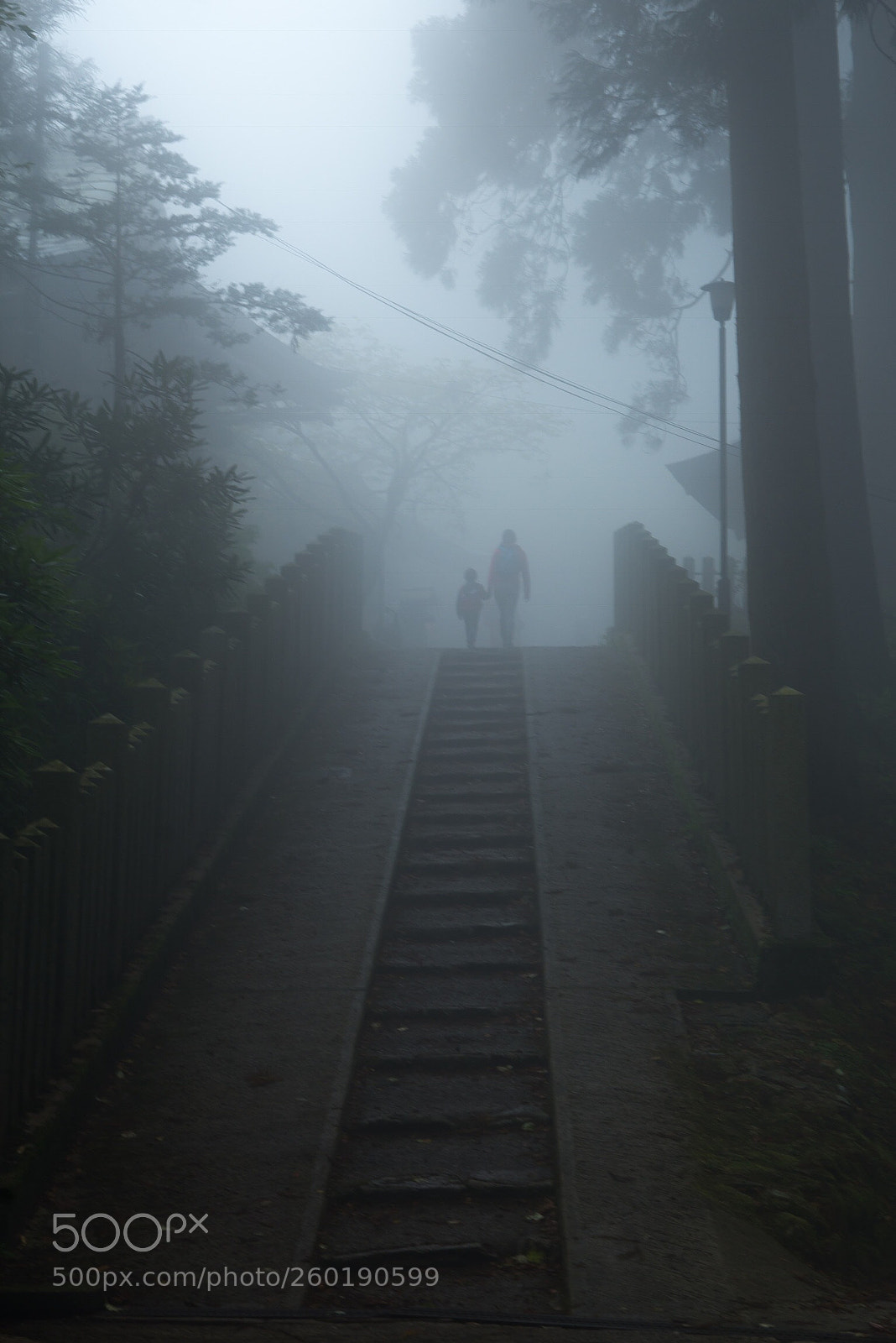 Nikon D610 sample photo. Temple in fog photography