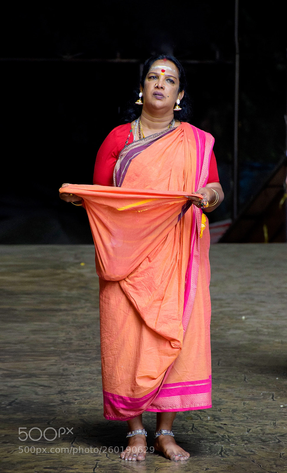 Nikon D5300 sample photo. Indian woman in saree photography