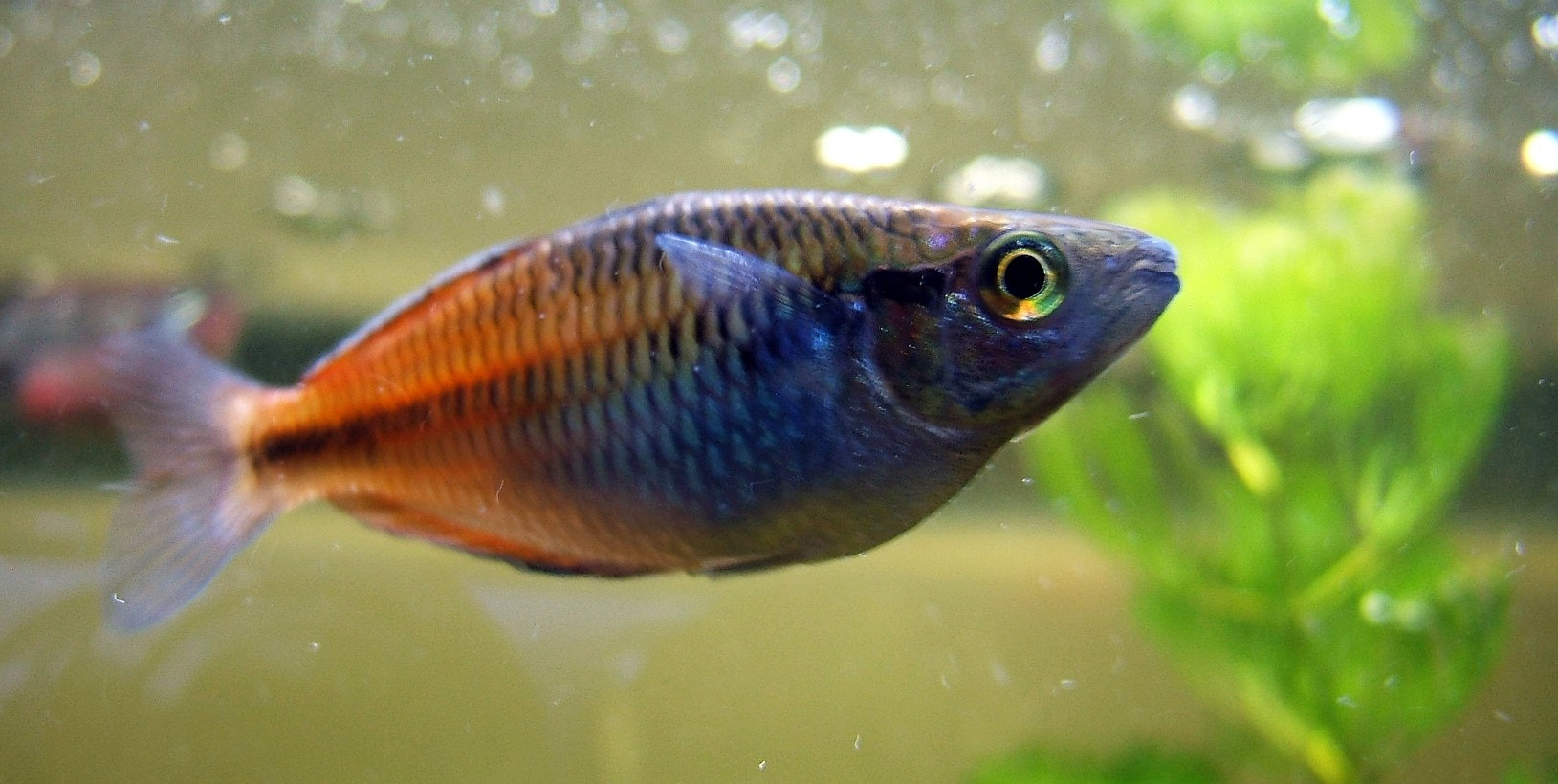 Fujifilm FinePix F810 sample photo. Dscf photography